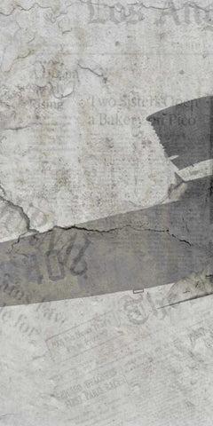 Newspaper Air Travel B White Modern Wood Framed Art Print with Double Matting by Allen, Kimberly