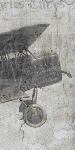 Newspaper Air Travel C Black Ornate Wood Framed Art Print with Double Matting by Allen, Kimberly