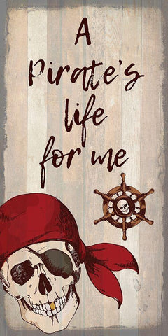 Pirate A Black Ornate Wood Framed Art Print with Double Matting by Kimberly, Allen