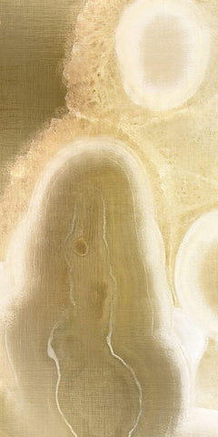 Golden Touch 1 White Modern Wood Framed Art Print with Double Matting by Kimberly, Allen