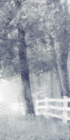 Fenceline White Modern Wood Framed Art Print with Double Matting by Kimberly, Allen