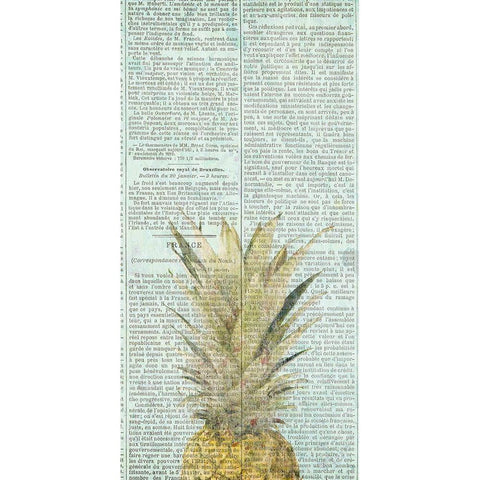 Newspaper Pineapple Black Modern Wood Framed Art Print with Double Matting by Kimberly, Allen