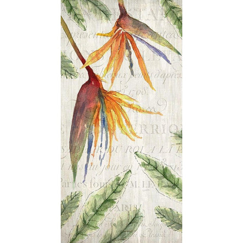 Tropical Blooms 1 White Modern Wood Framed Art Print by Kimberly, Allen