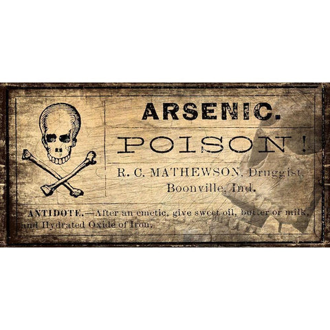 Arsenic v1 Black Modern Wood Framed Art Print with Double Matting by Kimberly, Allen