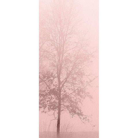 Pink Dawn 2 White Modern Wood Framed Art Print by Kimberly, Allen