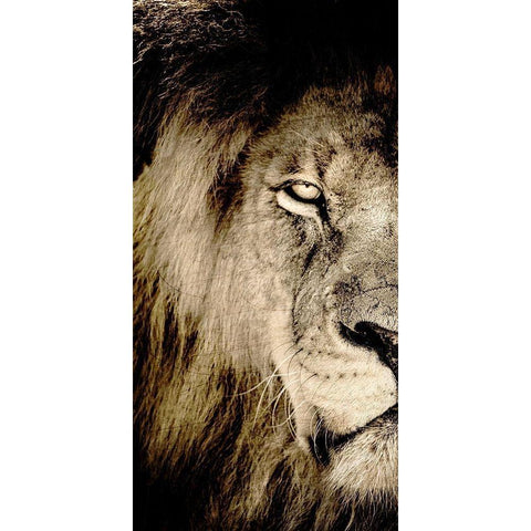 Gaze A Black Modern Wood Framed Art Print by Kimberly, Allen