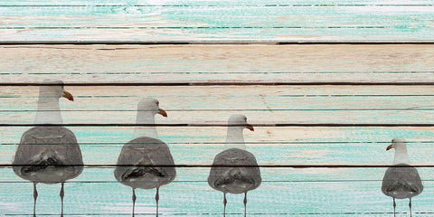 Seagulls White Modern Wood Framed Art Print with Double Matting by Allen, Kimberly