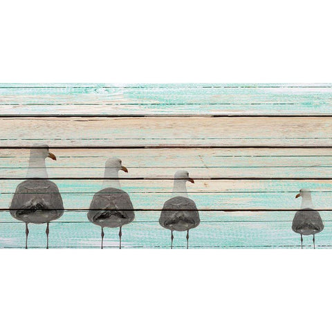 Seagulls White Modern Wood Framed Art Print by Allen, Kimberly