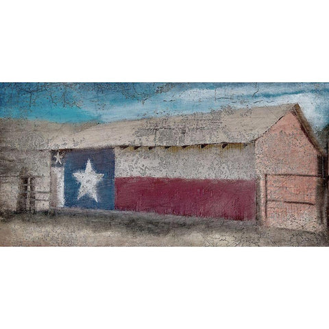 Texas Barn Black Modern Wood Framed Art Print with Double Matting by Kimberly, Allen