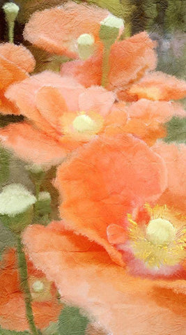 Summer Orange White Modern Wood Framed Art Print with Double Matting by Kimberly, Allen