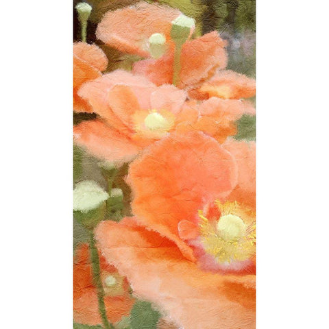 Summer Orange Black Modern Wood Framed Art Print by Kimberly, Allen