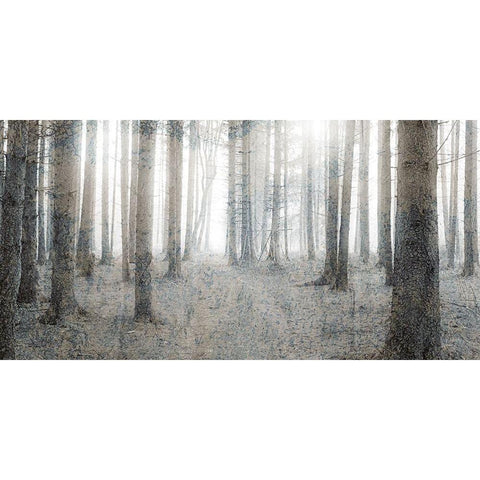 Forest Dream Black Modern Wood Framed Art Print by Kimberly, Allen