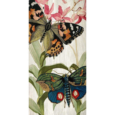 Butterfly World 1 Black Modern Wood Framed Art Print by Kimberly, Allen