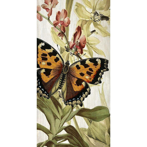 Butterfly World 2 White Modern Wood Framed Art Print by Kimberly, Allen