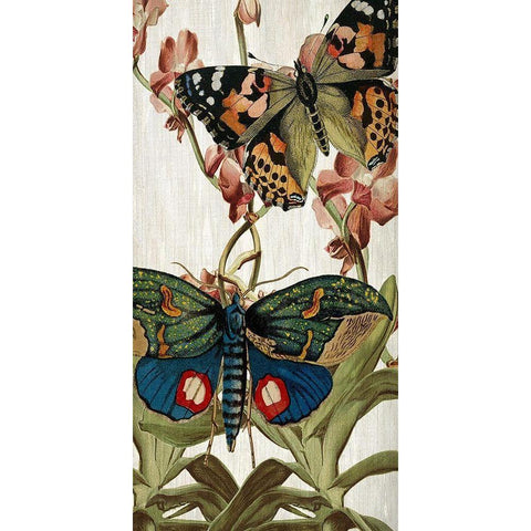 Butterfly World 3 White Modern Wood Framed Art Print by Kimberly, Allen