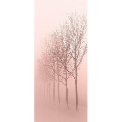 Pinkest Dawn 1 Gold Ornate Wood Framed Art Print with Double Matting by Kimberly, Allen