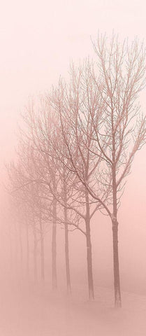 Pinkest Dawn 1 White Modern Wood Framed Art Print with Double Matting by Kimberly, Allen