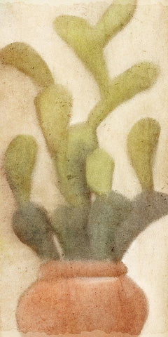 Potted Cactus 1 Black Ornate Wood Framed Art Print with Double Matting by Kimberly, Allen