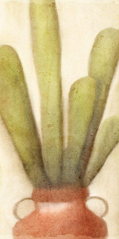 Potted Cactus 2 Black Ornate Wood Framed Art Print with Double Matting by Kimberly, Allen