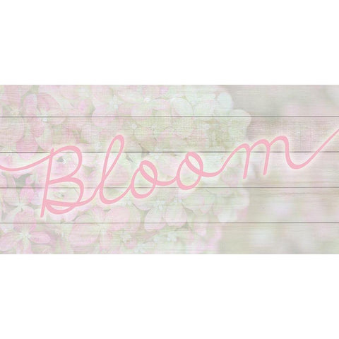 Bloom White Modern Wood Framed Art Print by Kimberly, Allen