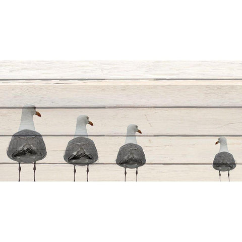 Seagulls on Wood Black Modern Wood Framed Art Print by Kimberly, Allen