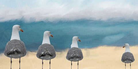 Seagulls at the Beach White Modern Wood Framed Art Print with Double Matting by Kimberly, Allen