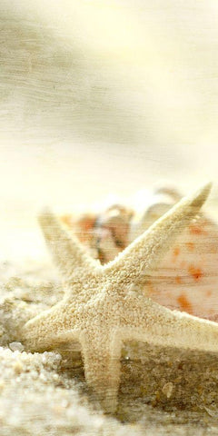 Starfish Beach 6 v2 Black Ornate Wood Framed Art Print with Double Matting by Kimberly, Allen