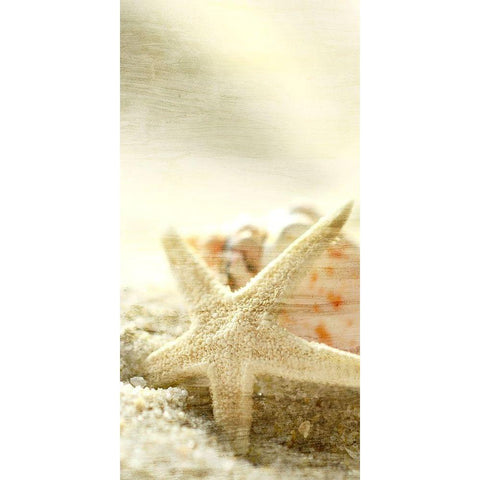 Starfish Beach 6 v2 Gold Ornate Wood Framed Art Print with Double Matting by Kimberly, Allen
