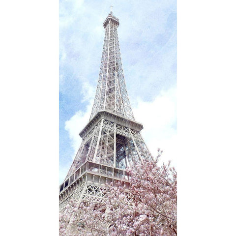 Paris in Bloom 1 White Modern Wood Framed Art Print by Kimberly, Allen