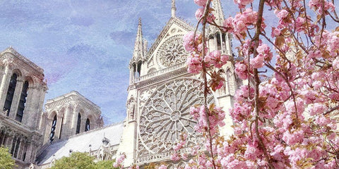 Paris in Bloom 3 White Modern Wood Framed Art Print with Double Matting by Kimberly, Allen