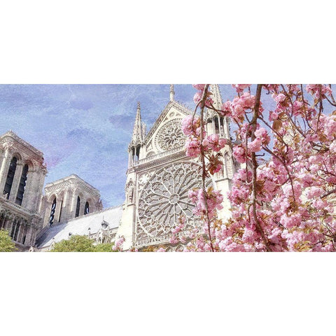 Paris in Bloom 3 White Modern Wood Framed Art Print by Kimberly, Allen