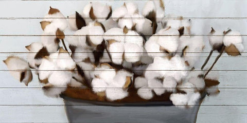 Cotton Gather 1 Black Ornate Wood Framed Art Print with Double Matting by Kimberly, Allen