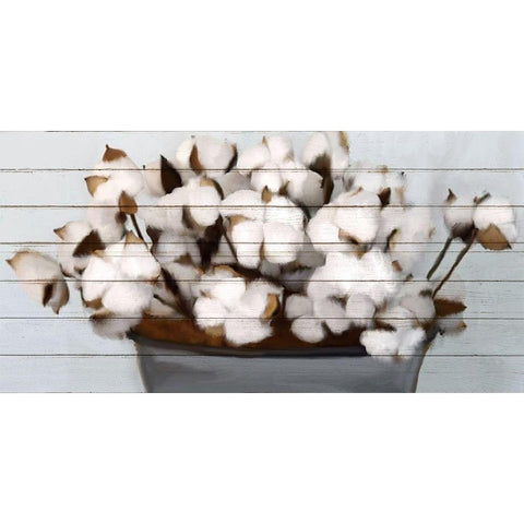 Cotton Gather 1 Black Modern Wood Framed Art Print with Double Matting by Kimberly, Allen