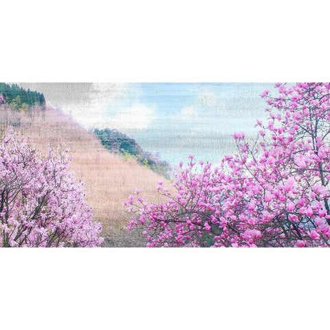 Hillside Blooms Black Modern Wood Framed Art Print with Double Matting by Kimberly, Allen