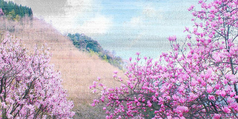 Hillside Blooms Black Ornate Wood Framed Art Print with Double Matting by Kimberly, Allen