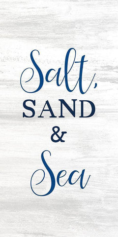 Salt and Sea 6 White Modern Wood Framed Art Print with Double Matting by Kimberly, Allen