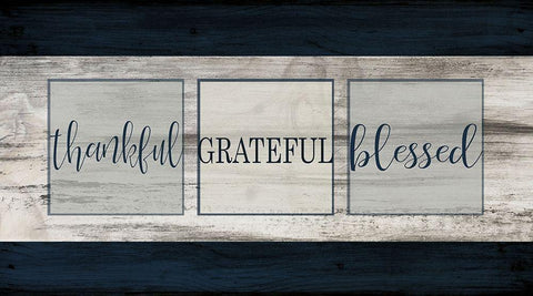 Thankful Grateful Blessed Plank Black Ornate Wood Framed Art Print with Double Matting by Kimberly, Allen