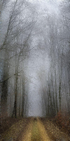 Road of Mysteries 1 White Modern Wood Framed Art Print with Double Matting by Allen, Kimberly