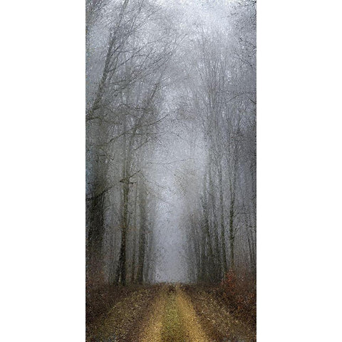 Road of Mysteries 1 Black Modern Wood Framed Art Print by Allen, Kimberly