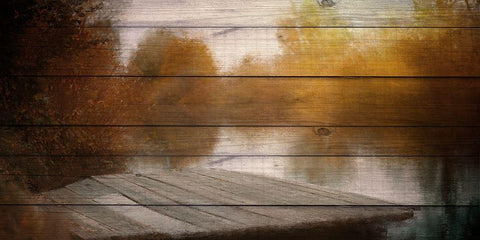 Lake View Wood Black Ornate Wood Framed Art Print with Double Matting by Allen, Kimberly