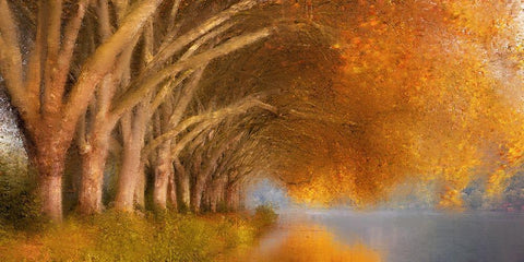 Quiet Pond Black Ornate Wood Framed Art Print with Double Matting by Allen, Kimberly