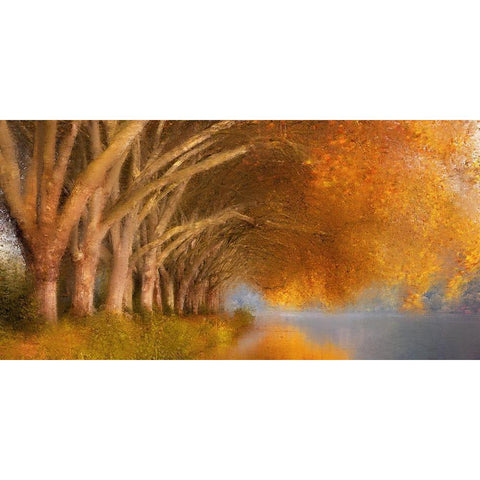 Quiet Pond Black Modern Wood Framed Art Print by Allen, Kimberly