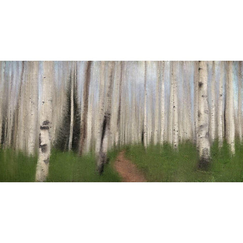 Path through the Aspens White Modern Wood Framed Art Print by Allen, Kimberly