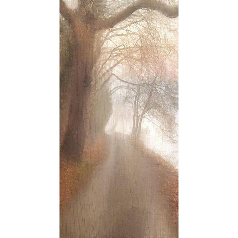 Into the Mist Black Modern Wood Framed Art Print with Double Matting by Allen, Kimberly