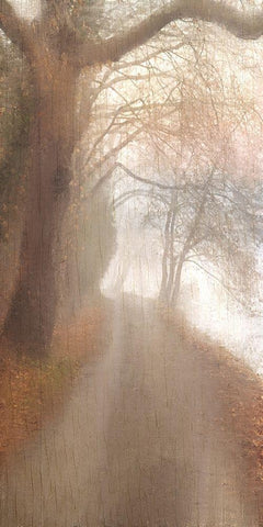 Into the Mist White Modern Wood Framed Art Print with Double Matting by Allen, Kimberly