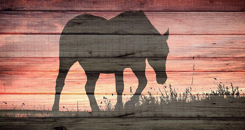 Horse Sunset White Modern Wood Framed Art Print with Double Matting by Allen, Kimberly