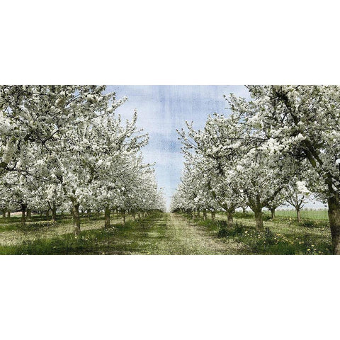 Spring Black Modern Wood Framed Art Print by Allen, Kimberly