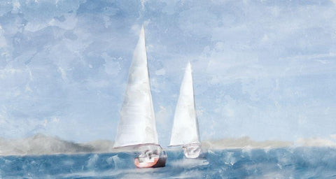 Sailing Black Ornate Wood Framed Art Print with Double Matting by Allen, Kimberly