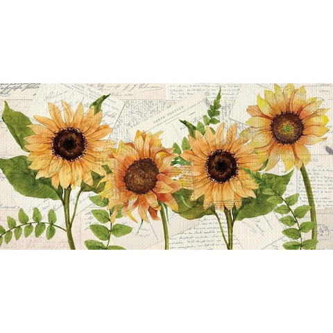Sunflower Letters Black Modern Wood Framed Art Print with Double Matting by Allen, Kimberly