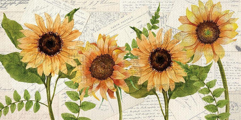 Sunflower Letters Black Ornate Wood Framed Art Print with Double Matting by Allen, Kimberly